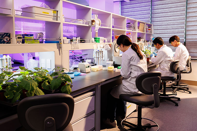 2000–2010 - World-Class Research University